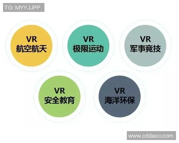 上海极限运动队员个人能力分析与发展潜力探讨